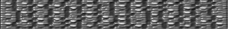 texban8.gif (13482 bytes)